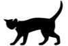 The Whittington cat